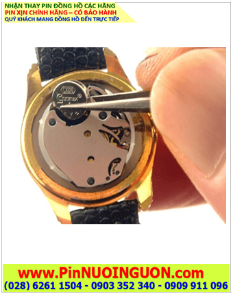 Pin đồng hồ Skagen, Thay pin đồng hồ Skagen