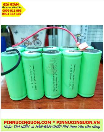 Pin sạc 12v-FD13000mAh; Pin sạc NiCd 12v-FD13000mAh, Pin sạc công nghiệp 12v-FD13000mAh